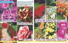 Akcija Katalog Floraekspres jesen 2018 76577
