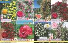 Akcija Katalog Floraekspres jesen 2018 76578