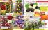 Akcija Katalog Floraekspres jesen 2018 76580