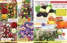 Akcija Katalog Floraekspres jesen 2018 76580