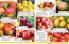 Akcija Katalog Floraekspres jesen 2018 76581