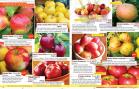 Akcija Katalog Floraekspres jesen 2018 76581