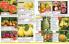 Akcija Katalog Floraekspres jesen 2018 76582