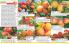 Akcija Katalog Floraekspres jesen 2018 76584