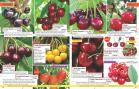 Akcija Katalog Floraekspres jesen 2018 76585
