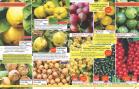 Akcija Katalog Floraekspres jesen 2018 76586