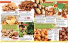 Akcija Katalog Floraekspres jesen 2018 76587