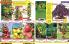 Akcija Katalog Floraekspres jesen 2018 76592
