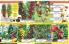 Akcija Katalog Floraekspres jesen 2018 76593