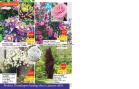 Akcija Katalog Floraekspres jesen 2018 76601