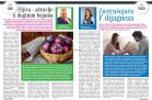 Akcija GOMEX Magazin, akcija 28. septembar do 11. oktobar 2018 76909