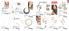 Akcija Katalog Oriflame akcija, oktobar 2018 76957
