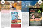 Akcija Gomex Magazin, 26. oktobar do 8. novembar 2018 78264