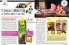 Akcija Gomex Magazin, 26. oktobar do 8. novembar 2018 78265