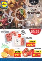 katalog lidl