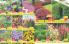 Akcija Katalog Floraekspres jesen 2018 80906