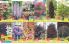 Akcija Katalog Floraekspres jesen 2018 80909