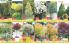 Akcija Katalog Floraekspres jesen 2018 80910