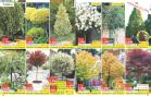 Akcija Katalog Floraekspres jesen 2018 80910