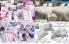 Akcija Katalog Floraekspres jesen 2018 80920