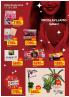 Akcija Katalog MAXI akcija, 7-20. februar 2019 82868