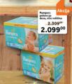 TEMPO Pelene Pampers Active baby dry