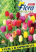 Katalog Floraekspres katalog cveća - rasprodaja novembar 2015