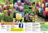 Akcija Floraekspres katalog cveća - rasprodaja novembar 2015 31194
