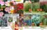 Akcija Floraekspres katalog sadnica proleće 2016 37160