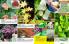 Akcija Floraekspres katalog sadnica proleće 2016 37172
