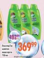 Dis market Wash&Go šampon za kosu