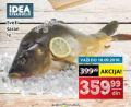 IDEA Šaran rečna riba 1kg