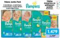 Aksa Pelene Pampers Active baby dry jumbo pack