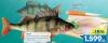 Roda Rečna riba Filet grgeča