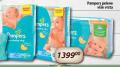 Aroma Pelene Pampers Active baby dry