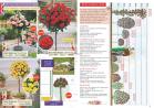 Akcija Katalog Flora Ekspres proleće 2017 51060