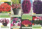 Akcija Katalog Flora Ekspres proleće 2017 51061