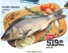 IDEA Rečna riba Šaran