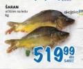 Roda Šaran riba očišćena na ledu, 1kg