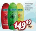 Dis market Šampon za kosu Palmolive, 350 ml