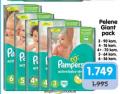 Aksa Pampers Active baby dry pelene Giant pack