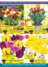 Akcija Floraexpress katalog cveća i sadnog materijala proleće 2018 69167